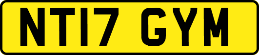 NT17GYM