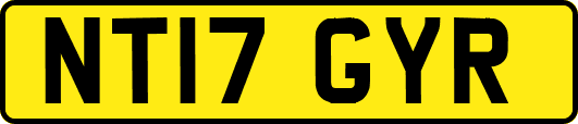 NT17GYR
