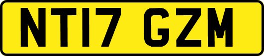 NT17GZM