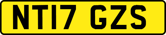 NT17GZS