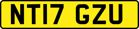 NT17GZU