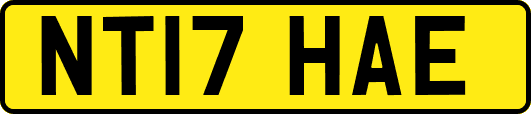 NT17HAE