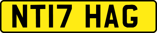 NT17HAG