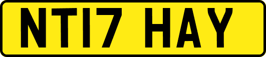 NT17HAY