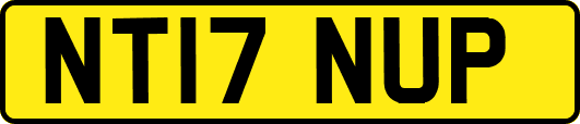 NT17NUP