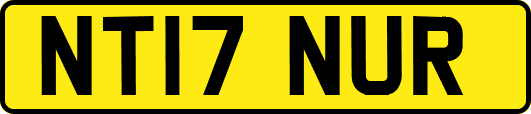 NT17NUR