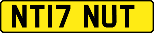 NT17NUT