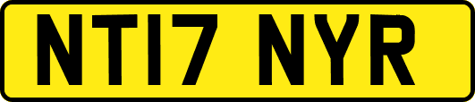 NT17NYR