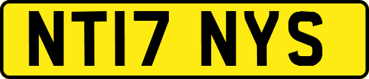 NT17NYS