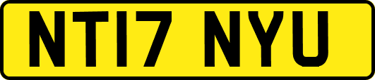 NT17NYU