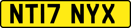 NT17NYX