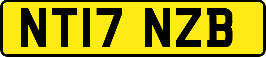 NT17NZB