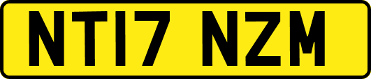 NT17NZM