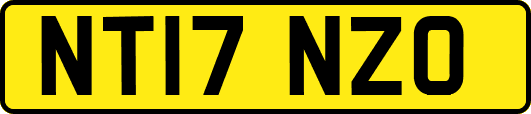 NT17NZO