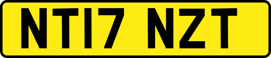 NT17NZT
