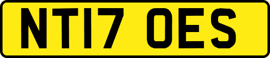NT17OES