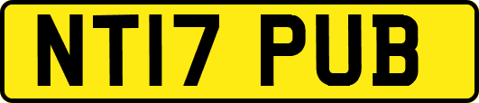 NT17PUB