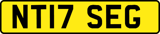 NT17SEG