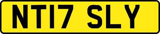 NT17SLY