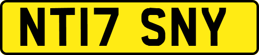 NT17SNY