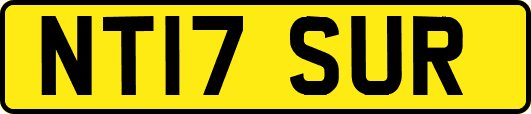 NT17SUR