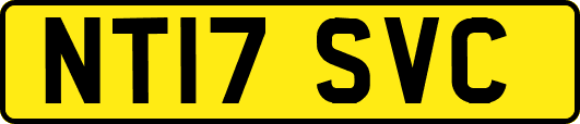 NT17SVC