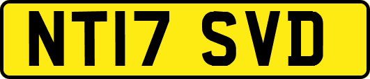 NT17SVD