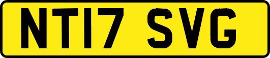 NT17SVG