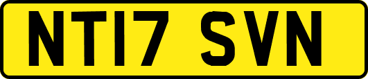 NT17SVN