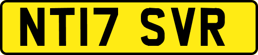 NT17SVR