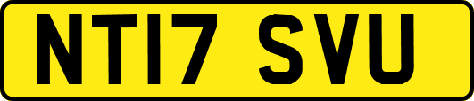 NT17SVU