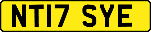 NT17SYE