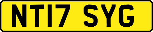 NT17SYG