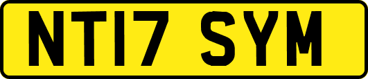 NT17SYM