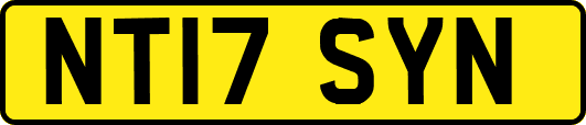 NT17SYN