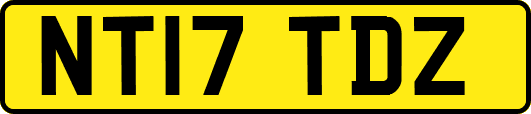 NT17TDZ