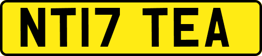 NT17TEA