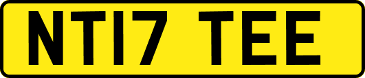 NT17TEE