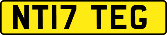 NT17TEG