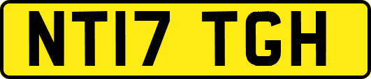 NT17TGH