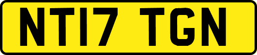 NT17TGN