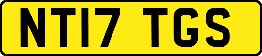 NT17TGS