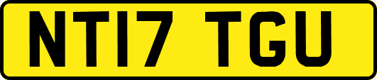 NT17TGU