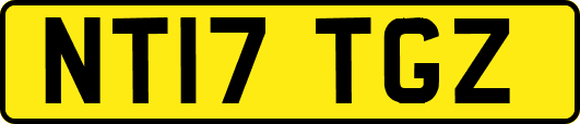 NT17TGZ