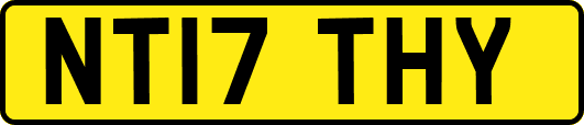 NT17THY