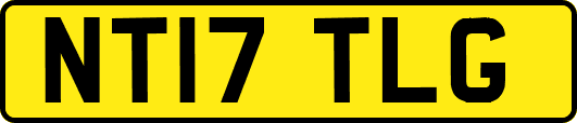 NT17TLG