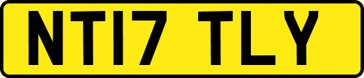 NT17TLY