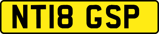 NT18GSP