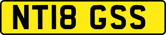 NT18GSS
