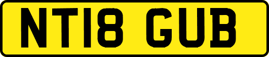 NT18GUB